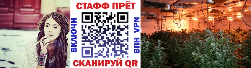 Продажа наркотиков Кологрив Гашиш  Марихуана  Alpha-PVP  Меф мяу мяу  COCAIN 