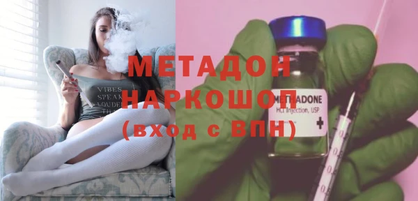 прущие грибы Инсар