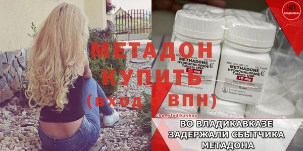 прущие грибы Инсар