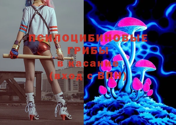 марки nbome Каменногорск