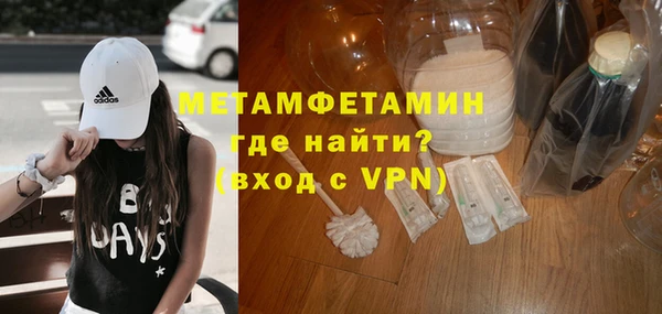 прущие грибы Инсар
