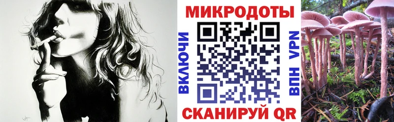 Псилоцибиновые грибы Cubensis ОМГ ОМГ зеркало Кологрив